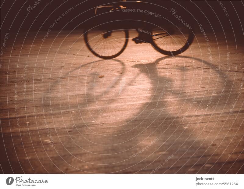 Consciousness-raising | Cycling in the sunshine Bicycle Means of transport Mobility Driving Lanes & trails Movement In transit Silhouette Shadow Drop shadow