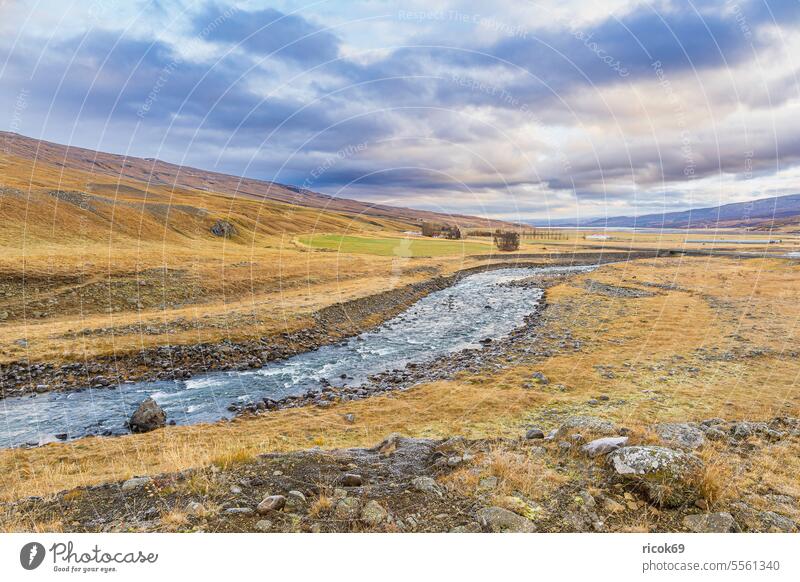 Landscape with river in east of Iceland Island River Water Tree Grass Willow tree Meadow Nature Rock mountain Stone Autumn Sky Clouds Blue Idyll vacation voyage