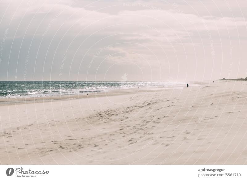 Lonely beach scene Ocean Beach Calm Sand Travel photography Copy Space top Colour photo Vacation & Travel Tourism Europe Portugal Sky In transit Lifestyle