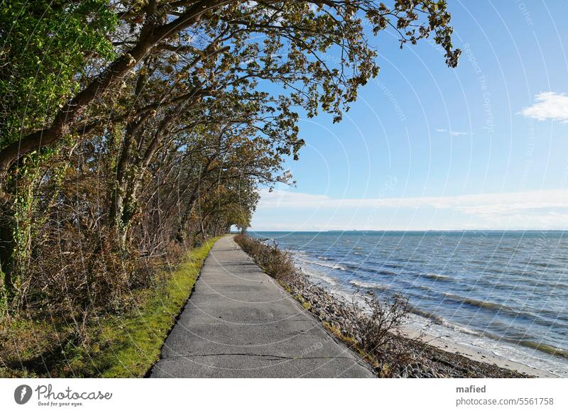 After the tide / hiking trail on the Baltic coast in sunny weather Ocean Water Sky bank off To go for a walk Blue Green Gray trees wide Baltic Sea Waves Horizon