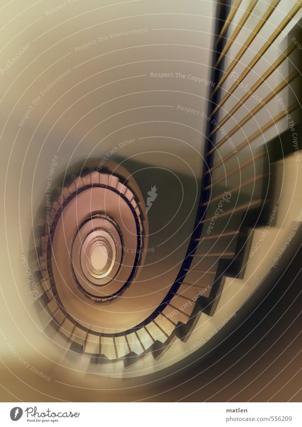 escalator Deserted Building Architecture Wall (barrier) Wall (building) Stairs Brown Black handrail Colour photo Subdued colour Interior shot Blur