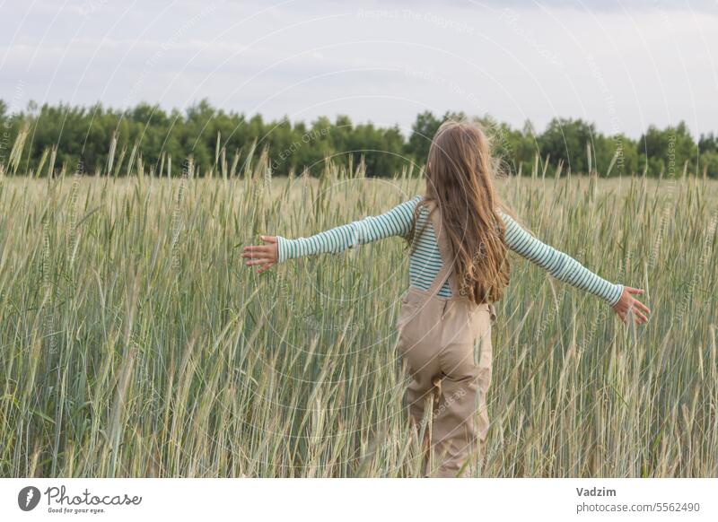 A fair-haired girl walks in the field with her arms spread out in different directions, touching the ears of corn. View from the back. Light run joy day Grow