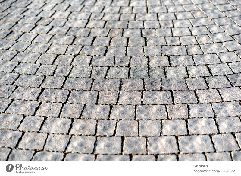 vintage stone tile road without people abstract architecture avenue background block brick city closeup detail geometric geometry gray grey line material
