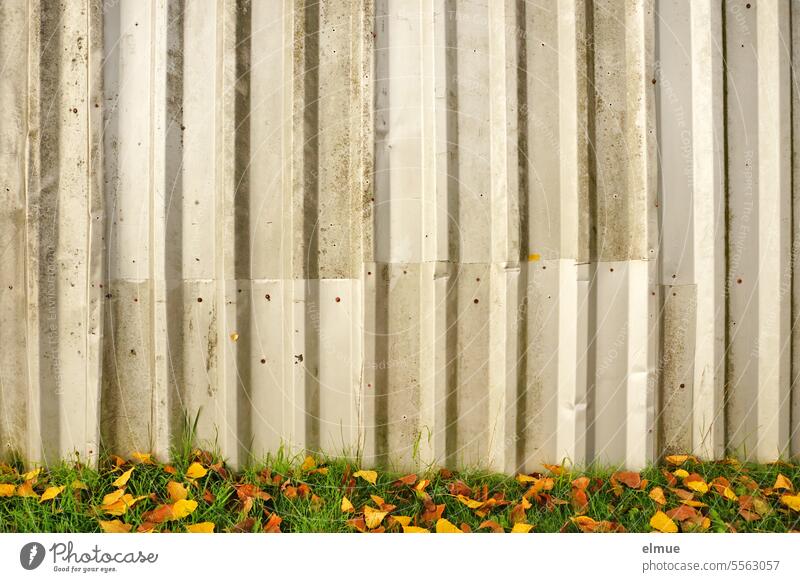 Corrugated metal wall with meadow and colorful autumn leaves Corrugated sheet iron Welchblech wall Wall (building) demarcation Meadow foliage Autumn
