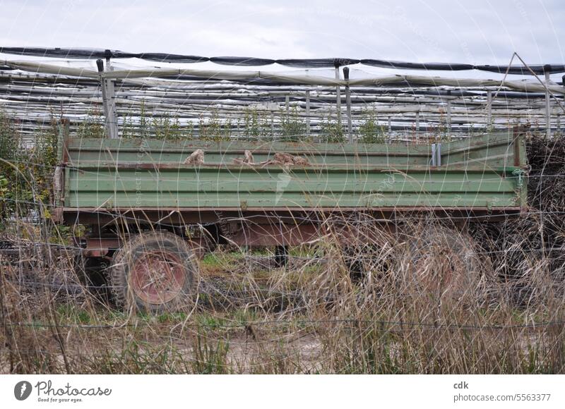 suspended | large tractor-trailer is parked between the fields of a farm. Trailer hanger Vehicle Agriculture Transport Logistics lorries Means of transport