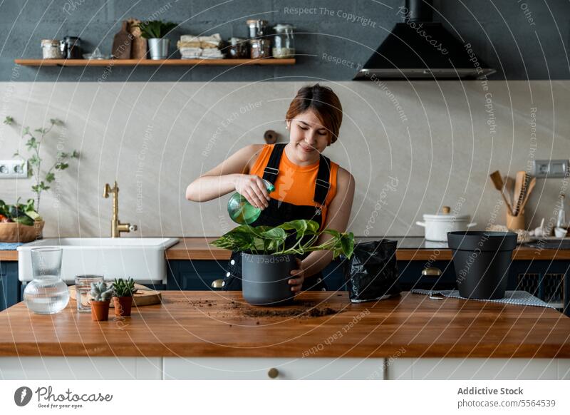 Happy young woman standing at table and spraying water on green plants in daylight gardener apron pot surface smile cardboard at home female wooden happy work