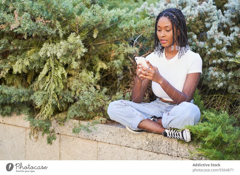 Happy African American woman browsing on smartphone happy park smile mobile using device tree cellphone moment content bush positive social media self portrait