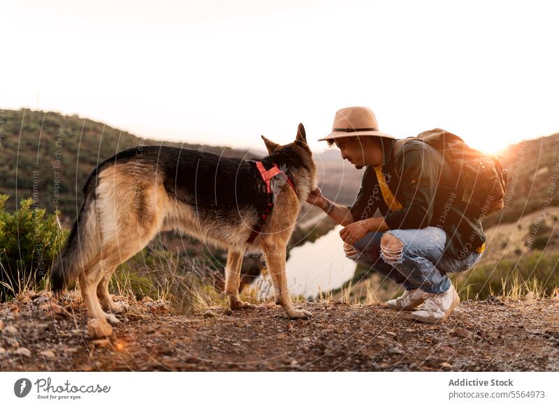 Dog with his owner in the wild man dog training loyal german shepherd treat animal male friend obedient sunny sunlight nature domestic mammal friendship