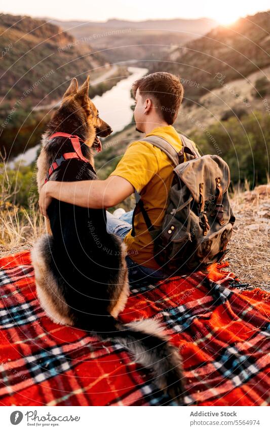 Unrecognizable traveler sitting on hill with dog man tourist pet mountain admire highland picturesque nature border collie sunset animal scenery canine summer