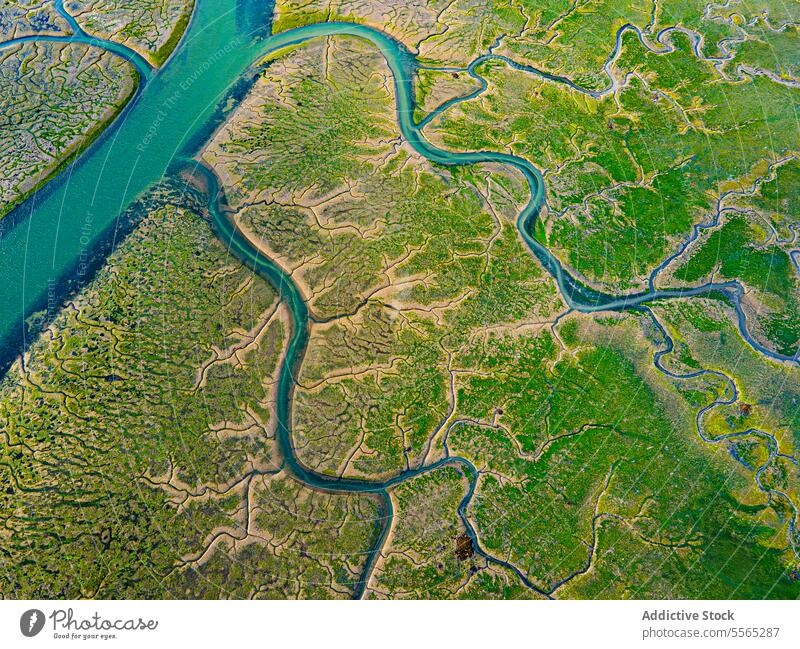 Blue river channels crisscrossing expansive green marsh overhead capture blue nature complexity drone water land meander wetland flora ecosystem stream
