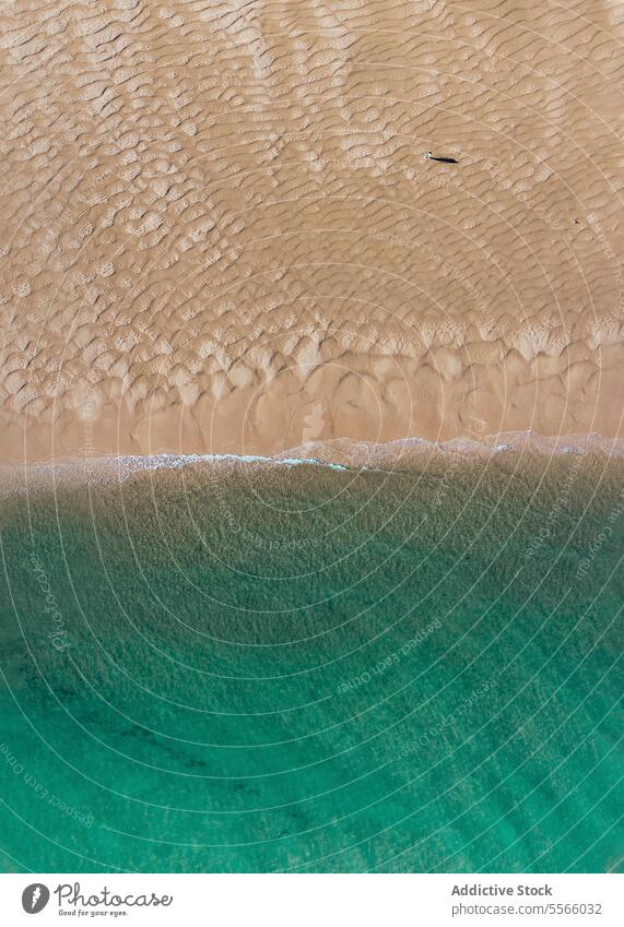 Anonymous person walking on sandy shore of turquoise sea in summertime ocean beach tourist rough ripple traveler shoreline coast resort el rompido huelva spain