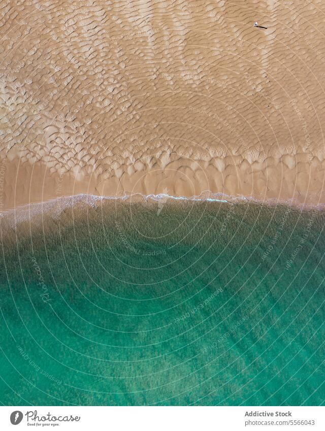 Anonymous person walking on sandy shore of turquoise sea in summertime ocean beach tourist rough ripple traveler shoreline coast resort el rompido huelva spain
