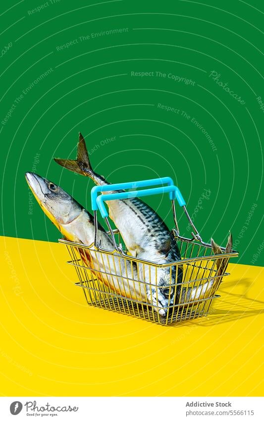 Basket with fish on green and yellow background animal basket metal material side view indoors table surface wall colorful food eat protein nutrition nutrient