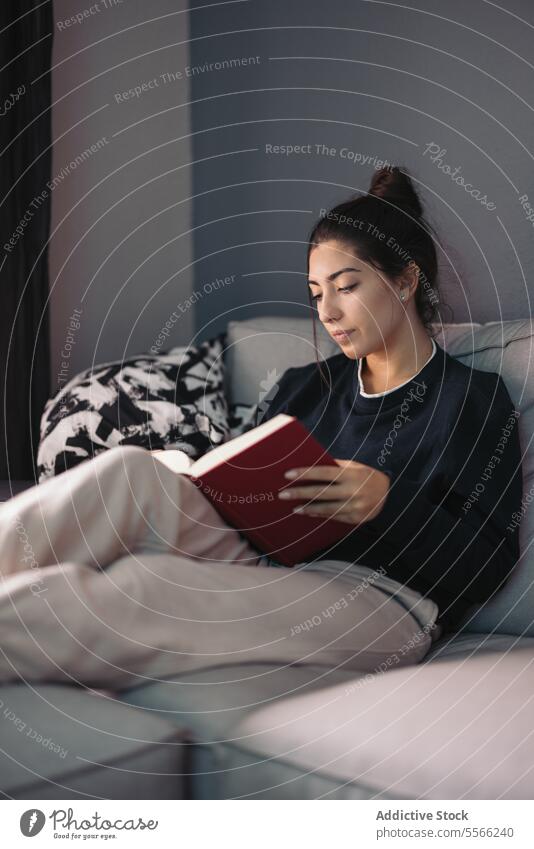 Young woman sitting on sofa and reading book in daylight study story relax comfort pastime living room at home female young free time bookworm literature novel