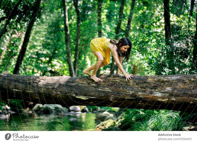 Smiling preteen girl moving on all fours on tree trunk in nature forest explorer recreation adventure enjoy peaceful summer harmony freedom journey travel
