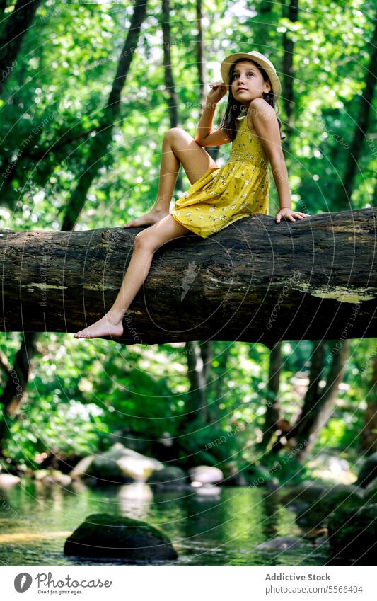 Preteen girl sitting on tree trunk in nature forest relax explorer break recreation adventure tranquil enjoy peaceful summer harmony freedom journey travel