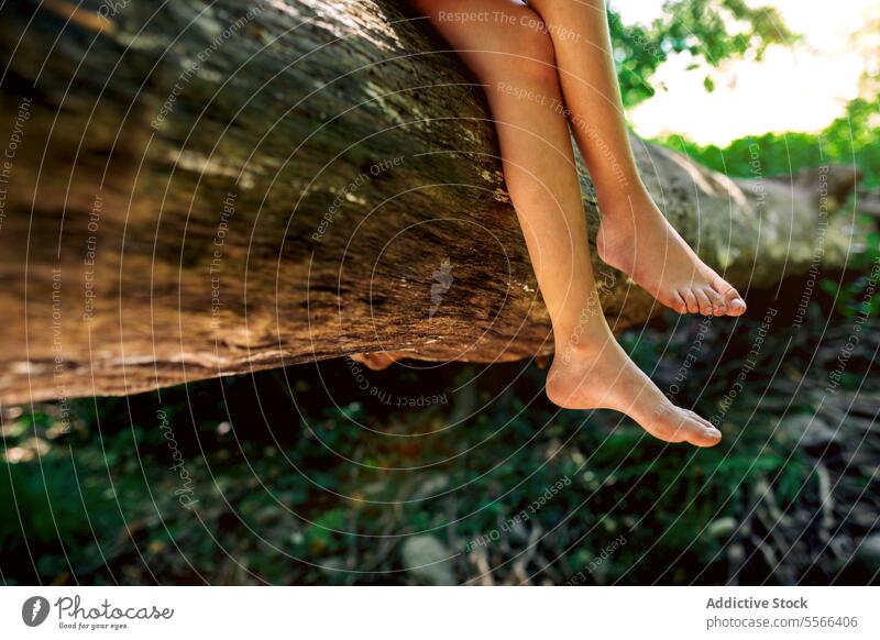 Crop preteen girl with crossed legs and barefoot on tree trunk in nature forest relax explorer break recreation adventure tranquil enjoy peaceful summer harmony