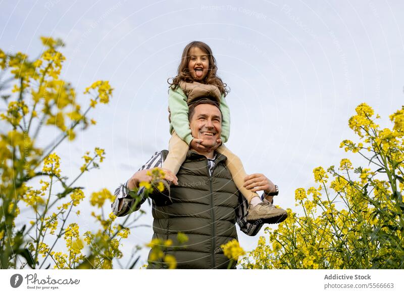 Cheerful moments of father-daughter in a flower meadow. shoulders smile field joy family outdoor bond happiness nature spring connection child parent elevation