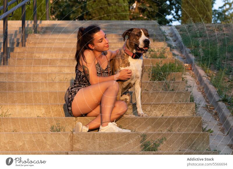 Young woman and her brindle dog share a moment at sunset stairs at the park. American Stanford domestic pet hug outdoors connection bond affection concrete