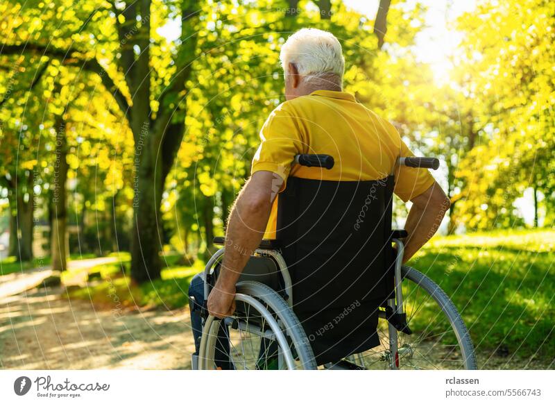 senior handicapped man sit in wheelchair during walk in park, mature disabled old man grandfather in invalid carriage or wheel chair, elderly disability concept image