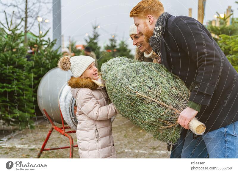 Family being wrapped up a cut Christmas tree packed in a plastic net at a christmas market teamwork buy help child daughter safety net bagged bind
