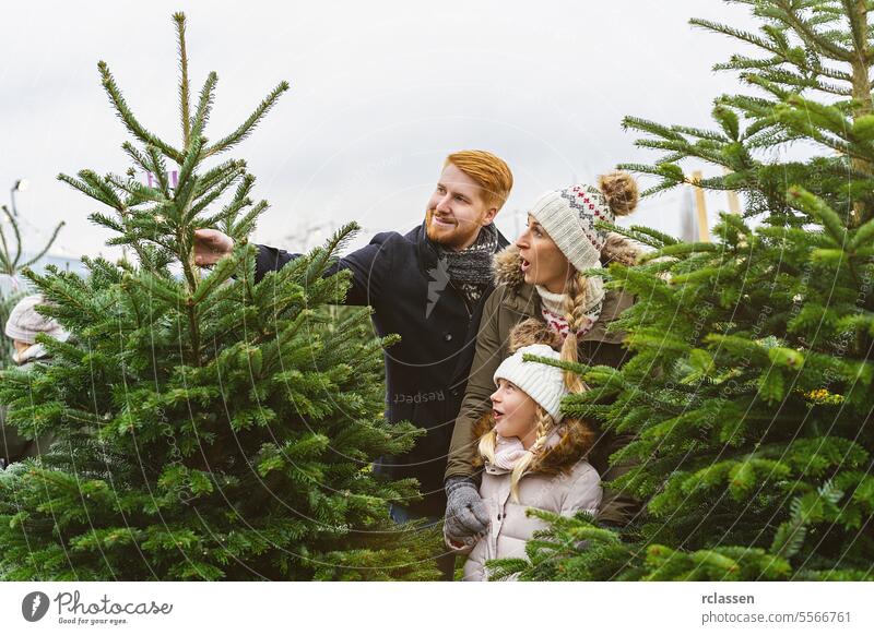 Family buying Christmas tree on market taking it home daughter child surprised family happy skeptical redhead tradition choice smile man love couple purchase