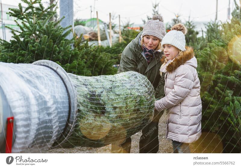 Saleswoman with a child being wrapped up a cut Christmas tree packed in a plastic net at a christmas market teamwork buy help daughter safety net bagged bind