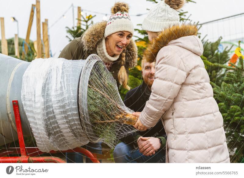 Daughter pull being wrapped up a cut Christmas tree packed in a plastic net at a christmas market teamwork buy help child daughter safety net bagged bind