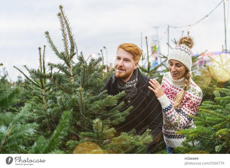 couple buying Christmas tree at market family skeptical assess redhead tradition choice smile man love couple purchase farm pine tree norway shop taking carry