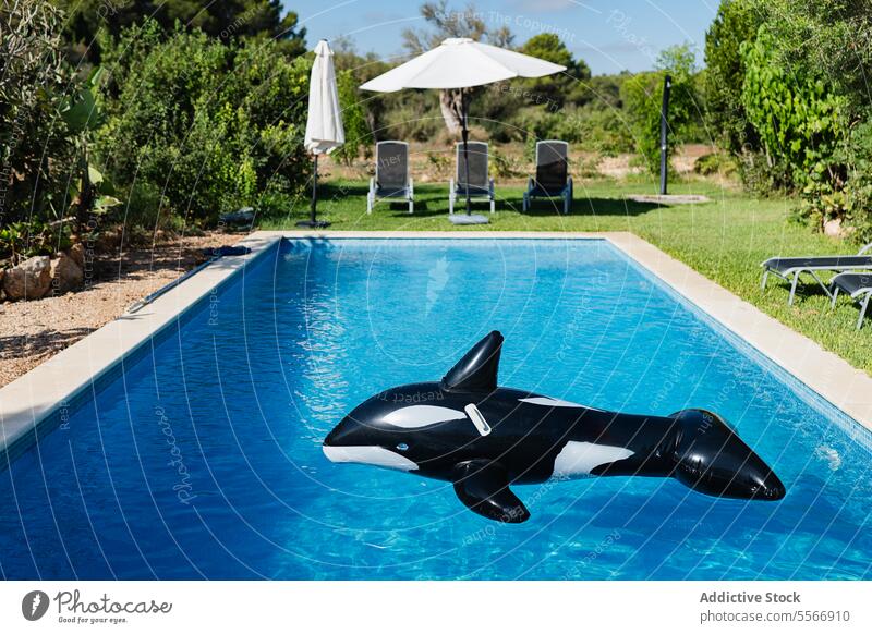 Inflatable orca in a serene pool setting with loungers. inflatable toy blue water whale umbrella greenery relax swim fun summer float black garden outdoor