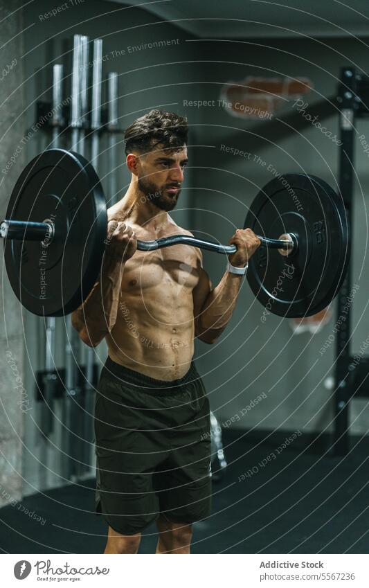 Barbell dedication man gym barbell lift shirtless shorts determination muscle physique dimly lit training modern sweat male strength equipment weight fitness