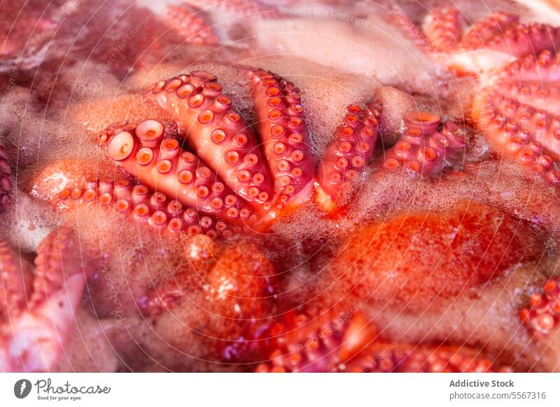 Octopus tentacle details in red broth octopus macro sucker liquid pattern texture marine seafood close-up vibrant culinary gourmet nature animal delicacy fresh