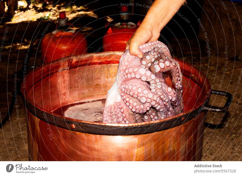 Hand lifting boiled octopus hand copper pot tentacle seafood culinary delicacy outdoor rustic gas canister close-up texture suction cup gourmet tradition cook