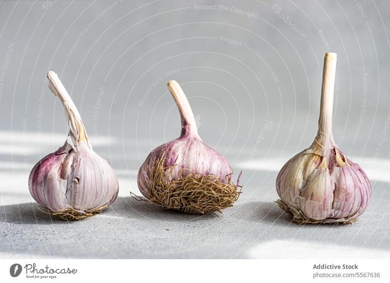 Detailed garlic bulbs close-up texture gray background purple root natural food ingredient fresh organic health nutrition culinary kitchen vegetable aromatic