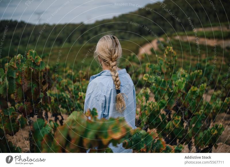 Blonde woman standing amidst grapevines in farm vintner farmer blonde braided green grow vineyard countryside nature scenery tranquil lush back view long hair