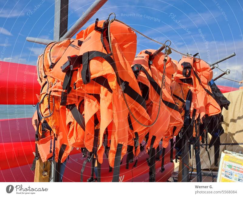 Life jackets during the break Aquatics Life jackets; Sports Swimming & Bathing Leisure and hobbies Summer vacation