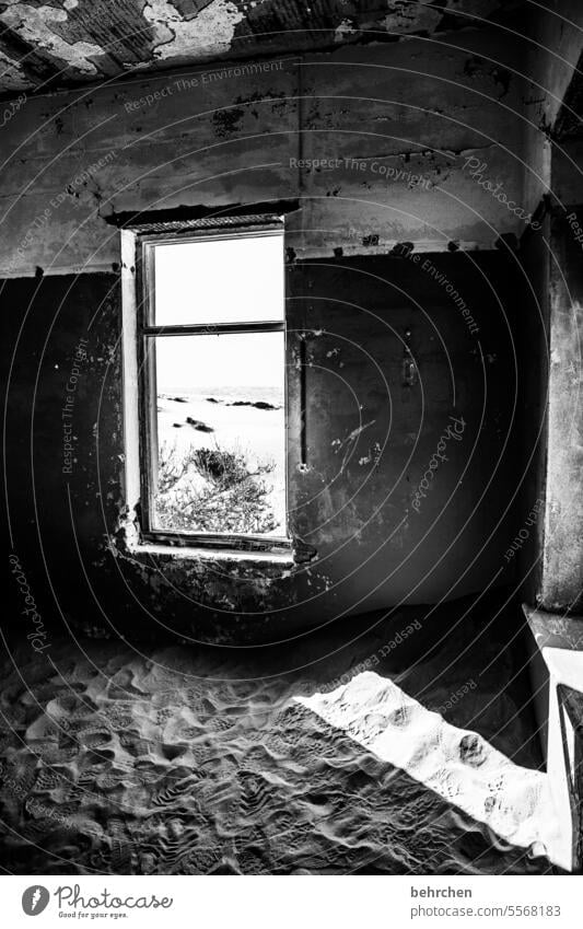 incidence of light Vantage point Window Old Broken decay corrupted House (Residential Structure) Force of nature Sunlight Sand Ruin Ghost town Kolmannskuppe