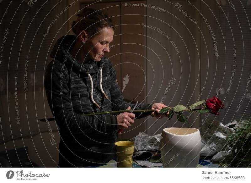 Woman removes the thorns from a red rose Red pink Flower endowed Interior shot Colour photo Donate Give Red rose Display of affection Gift Love Adults Feminine