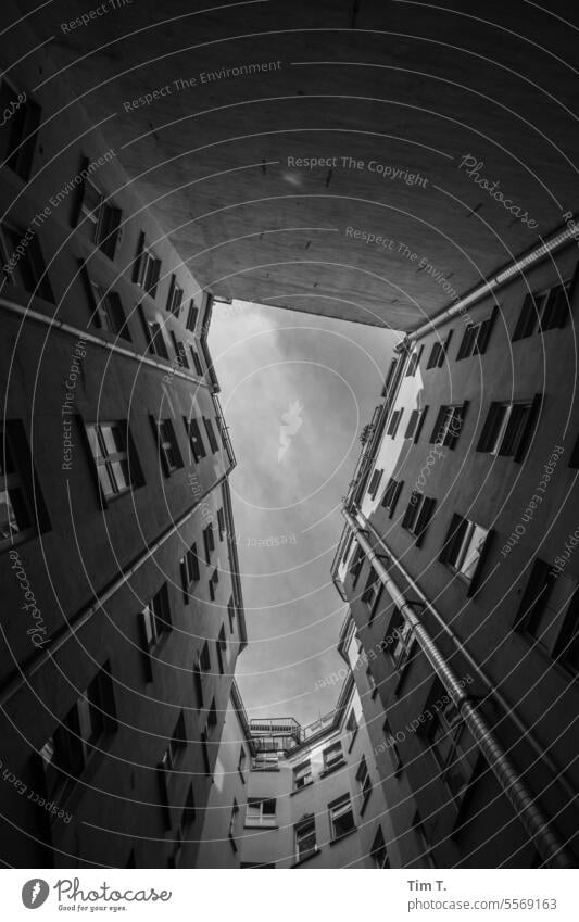the sky in the backyard Berlin b/w Black & white photo Exterior shot Day Town Architecture Capital city Downtown Deserted Manmade structures bnw Building
