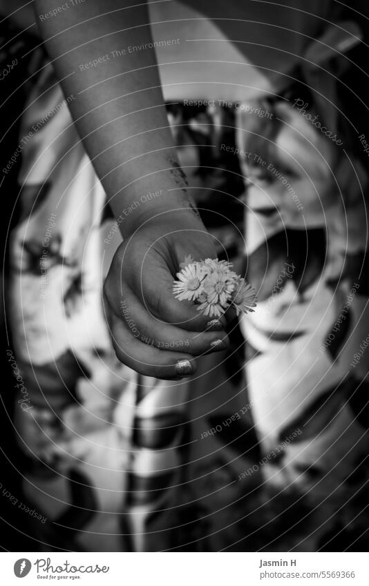 Child's hand with daisy b/w Hand Fingers To hold on Shallow depth of field Black & white photo Close-up Infancy 3 - 8 years creatively Toddler 1 - 3 years