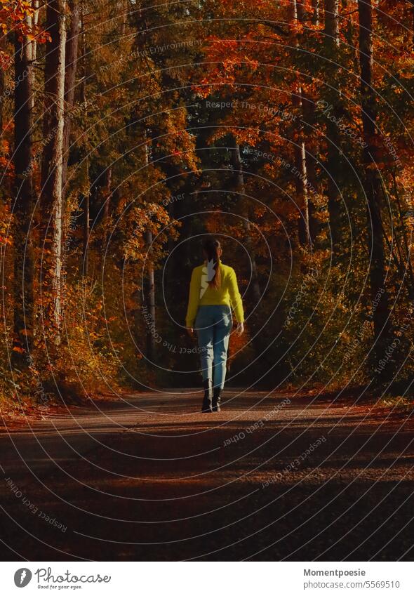 forest path Forest walk Automn wood Autumnal Autumnal colours foliage Sweater Yellow Going Hiking hike autumn walk autumn colours Orange Woman Young woman off