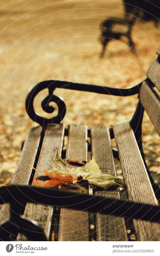 Autumnal park with park bench and colorful leaves on the seat Autumn of life Autumn leaves Autumnal colours Early fall Autumnal weather Automn wood autumn mood