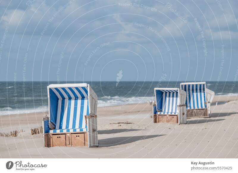 Beach chairs waiting for guests beach chairs Vacation & Travel Relaxation Summer Tourism North Sea coast Beautiful weather Nature Sun Ocean vacation Water