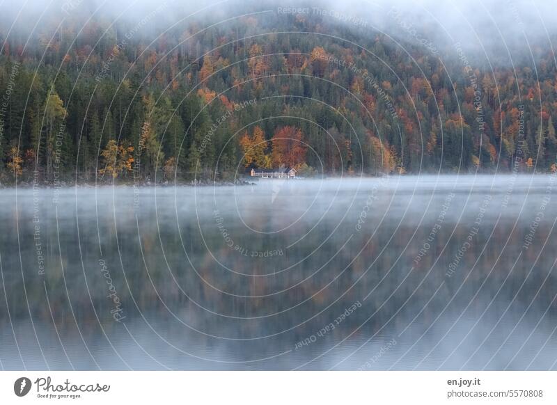 Wafts of mist over the Eibsee Eib Lake Fog wafts of mist Lakeside Autumn Boathouse Forest Bavaria Deserted Calm Reflection Vacation & Travel Landscape Nature