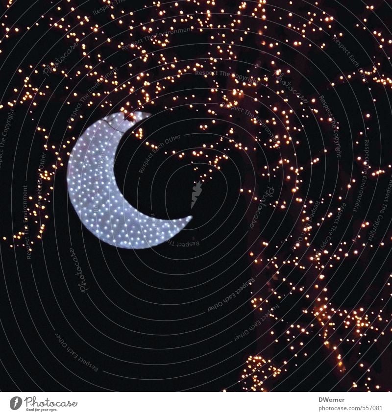 The moon is... Lifestyle Relaxation Calm Garden Feasts & Celebrations Christmas & Advent Work of art Night sky Stars Moon Full  moon Winter Tree Park Decoration