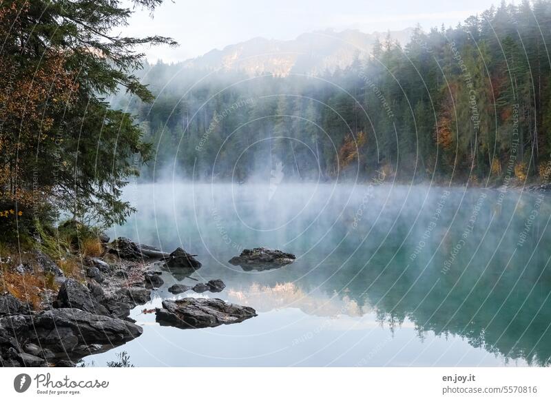 Mystical Eibsee Eib Lake Fog reflection Bavaria Mountain Autumn Zugspietzbahn tranquillity vacation Deserted voyage Travel photography in the morning Lonely