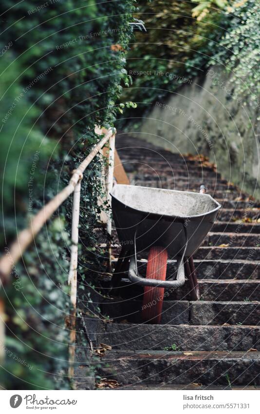 LOST WHEELBARROW - STAIRS - FALL Wheelbarrow coloured leaves foliage Green Stairs Lost Gardening Autumnal Nature Colour photo