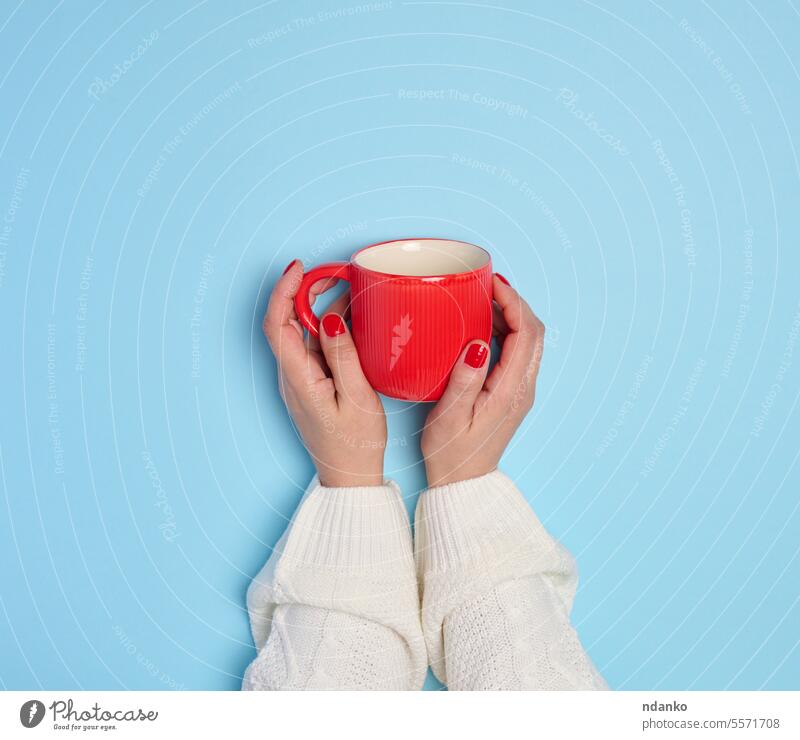 Two female hands holding a red ceramic cup on a blue background mug drink coffee arm tea beverage woman people handle morning