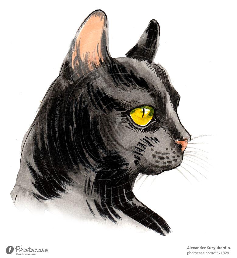 Black cat with green eyes. Ink and watercolor illustration animal art background beautiful black cartoon colorful cute dark domestic drawing face feline