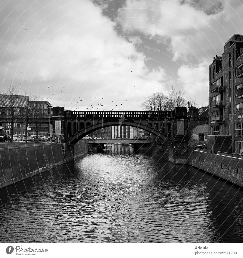 Canal with bridge in b/w Channel Water Osterbek Canal Hamburg Barmbek Bridge Underground houses subway bridge Town Architecture Building birds Sky Clouds